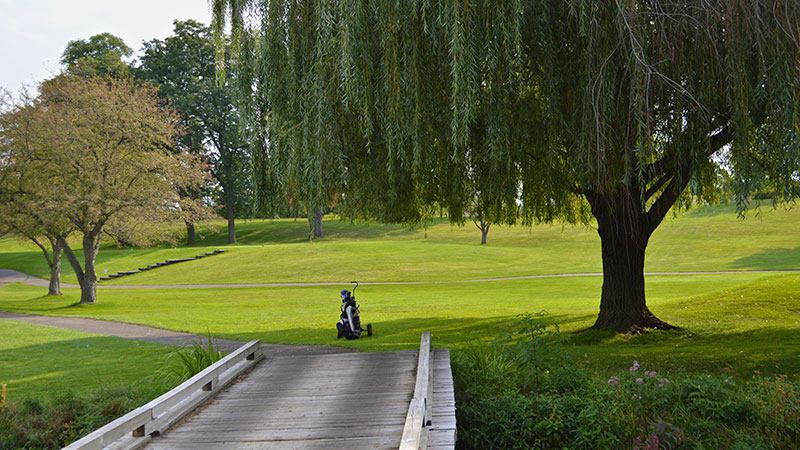 Homepage Washtenaw Golf Club